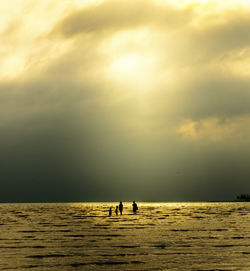 Silhouette people on beach against sky during sunset