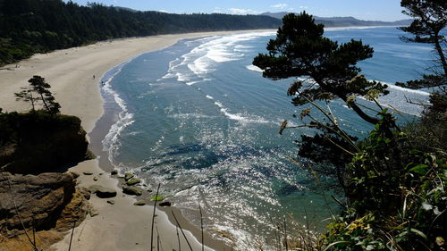 High angle view of sea by trees