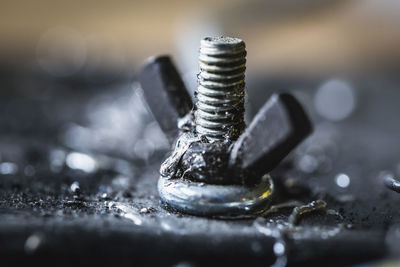 Close-up of stainless steel nut