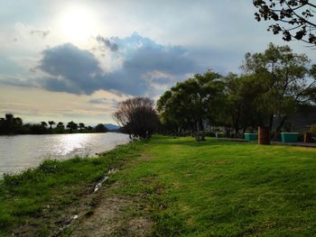 Scenic view of river amidst trees against sky