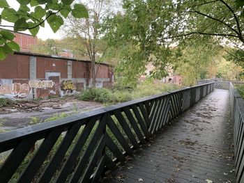 Footpath amidst trees and buildings