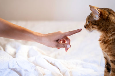 Woman caressing her cat on the bed.