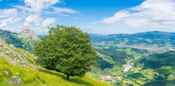 Scenic view of landscape against sky