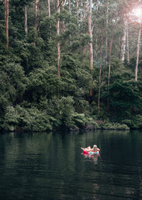 Scenic view of lake amidst trees in forest