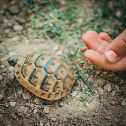 Close-up of human hand on stone
