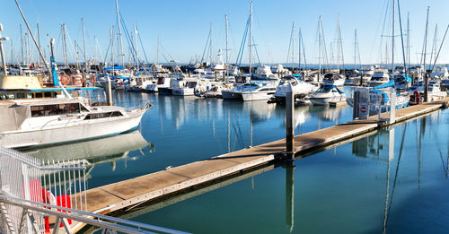 Sailboats moored in harbor