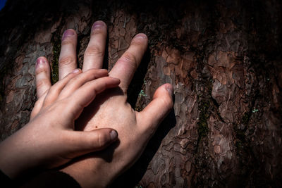 Close-up of hands on tree trunk