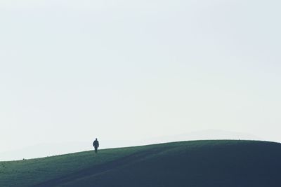 Rear view of man walking on grassy field