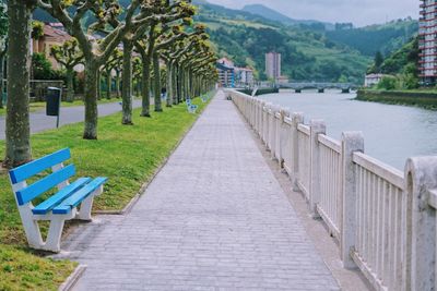 Footpath amidst trees and plants in park