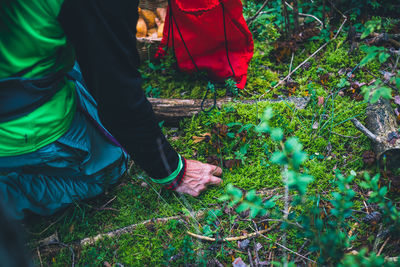 Close-up of hand picking mushroom in forest