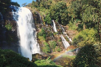 Waterfall in forest