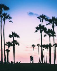 Silhouette of palm trees on field against sky at sunset