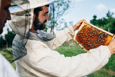 Side view of beekeepers examining beehive