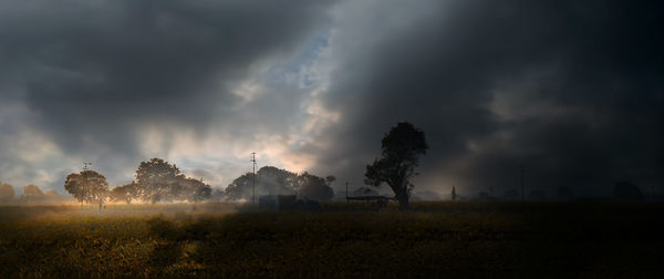 Scenic view of field against sky