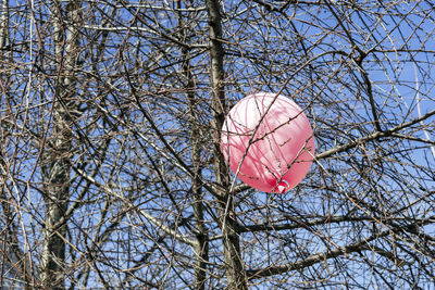 Low angle view of balloons against sky