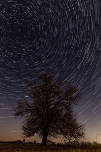 Trees on field against sky at night