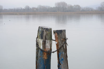 Wooden post in lake