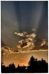 Silhouette trees against sky at night