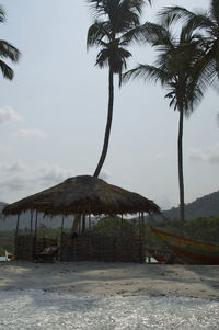 Palm trees on beach against sky