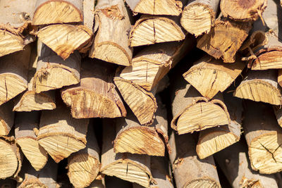 Full frame shot of logs in forest