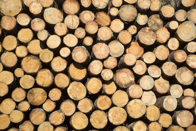 Full frame shot of logs