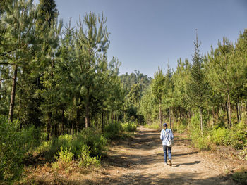 Man walking in forest