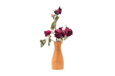 Close-up of wilted flower vase against white background