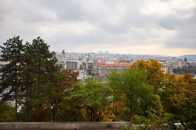 Trees and buildings against sky