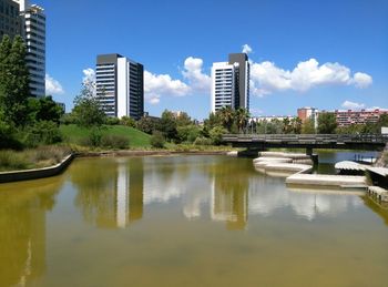 Reflection of trees and buildings in lake