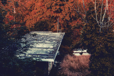 Trees by lake in forest during autumn