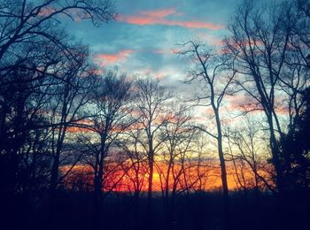 Silhouette bare trees in forest against sky