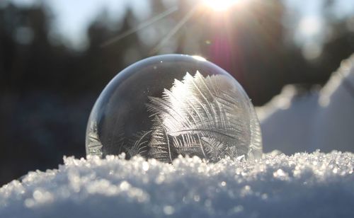 Close-up of frozen ball on sunny day