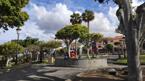 Trees in park