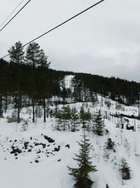 Trees on snow covered landscape against sky