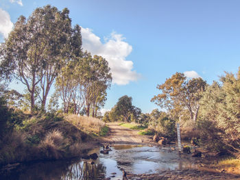 Scenic view of trees by lake against sky