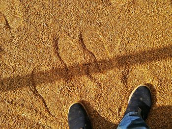 Low section of man standing on sand