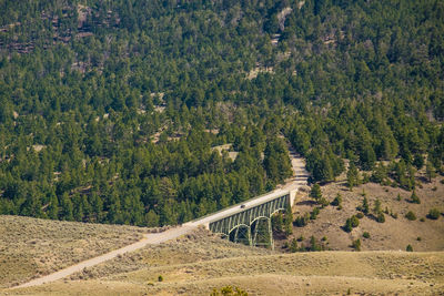 High angle view of road amidst trees in forest