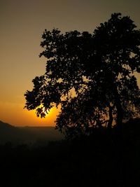 Silhouette tree against orange sky