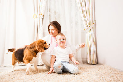 Two dogs sitting on floor