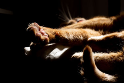 Young man lying down on black background