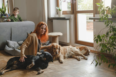 Ginger woman with three dogs cuddling on the floor pets friends at home with human. big dogs golden