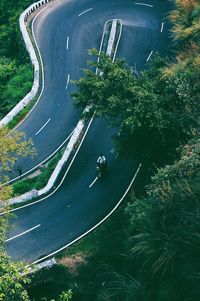 High angle view of trees