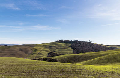 Scenic view of agricultural field against sky