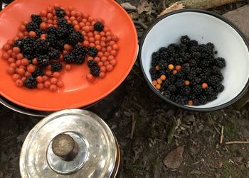 High angle view of fruits in bowl on table