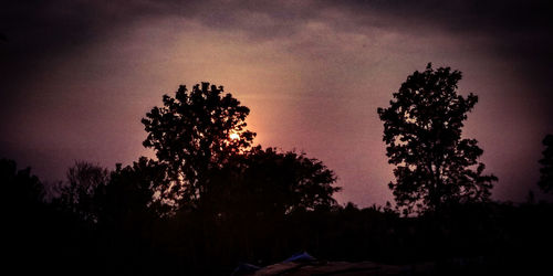 Silhouette trees against sky at sunset