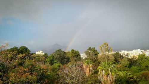 Scenic view of rainbow over trees against sky