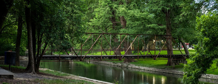 Bridge over river amidst trees in forest