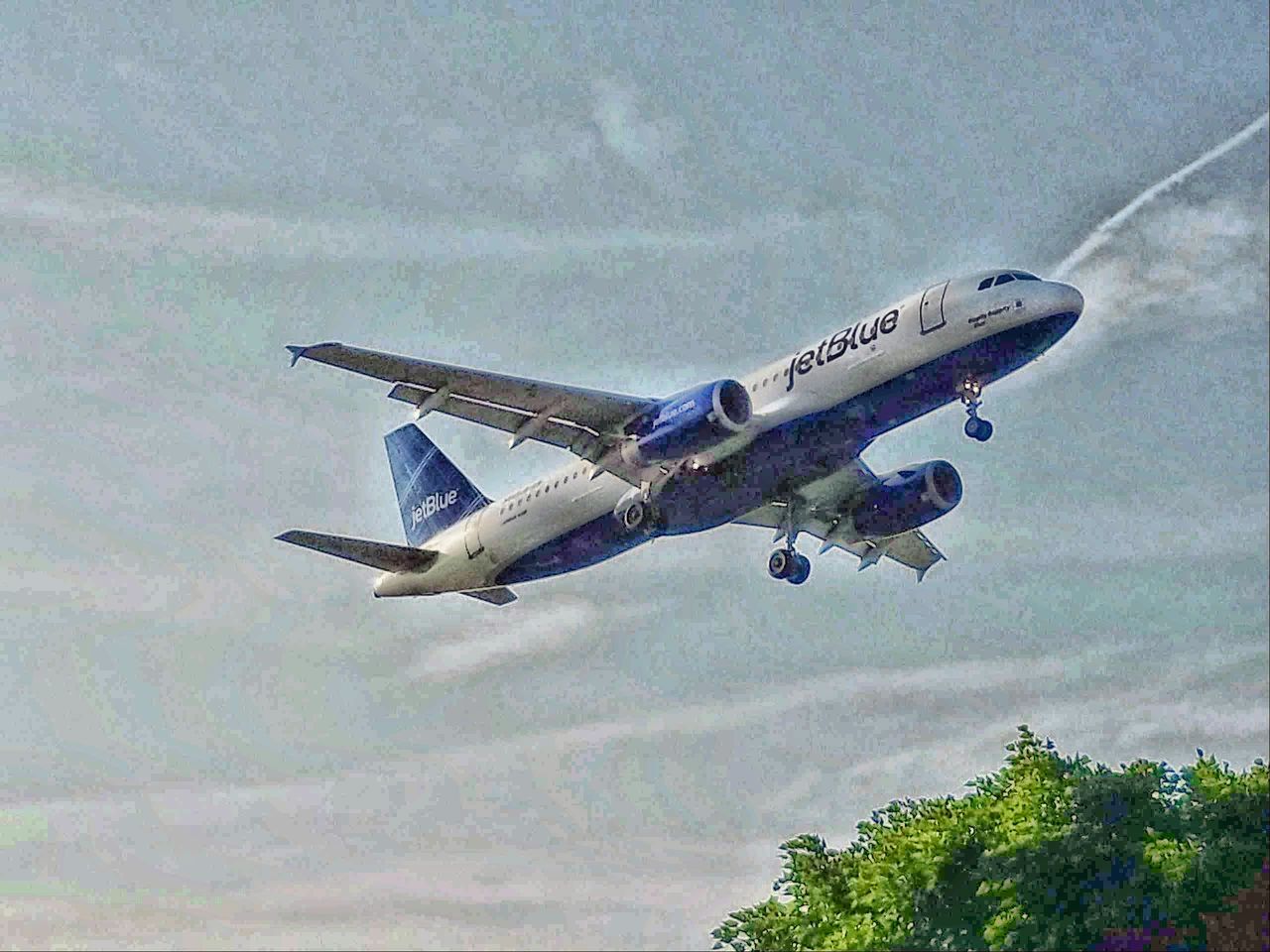 AERIAL VIEW OF AIRPLANE FLYING OVER TREES AGAINST SKY