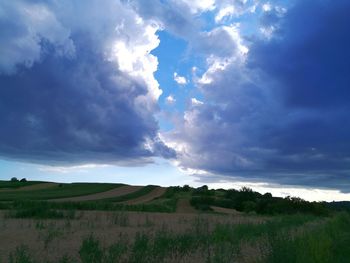 Scenic view of field against sky