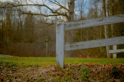 Fence on field